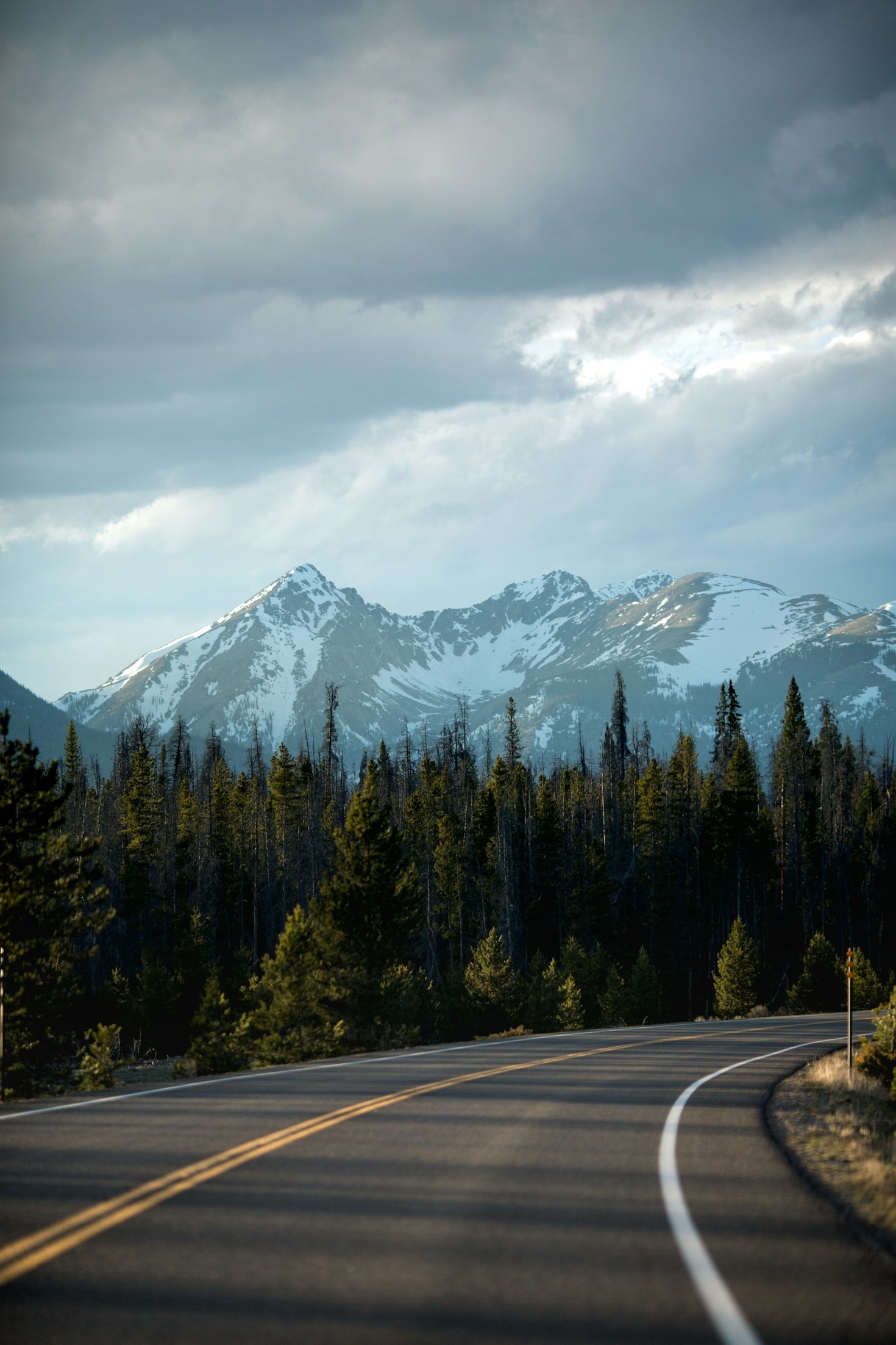 Decoding The Future Of Performance Driving